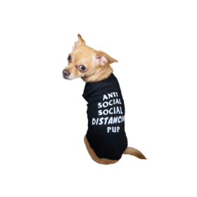 Anti Social Social Distancing Pup