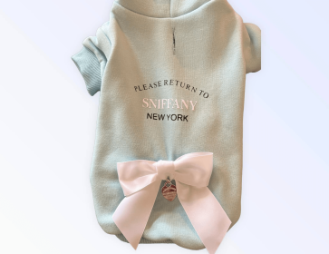 Return to Sniffany Hoodie