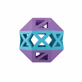 PetShop by Fringe This is How I Roll  Rubber Dog Toy