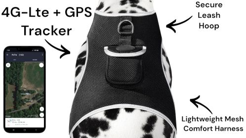 Secure Pet While At Work w/ Waterproof Mini GPS GSM Pet Collar Tracker Size:M - Default