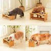 Raised Dog Bowl Stand for Medium Sized Dogs