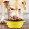 4 Piece Silicone Collapsible Pet Bowls