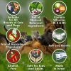 Ear Cleaner Wipes for Dogs 100 Count (Natural Medicated Cleansing Deodorizer Removes Dirt Wax)