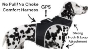 Secure Pet While At Work w/ Waterproof Mini GPS GSM Pet Collar Tracker Size:M - Default