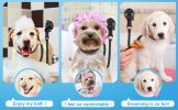 Dog Grooming Table Lanyard