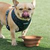 Portable Silicone Folding Bowl