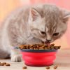 4 Piece Silicone Collapsible Pet Bowls
