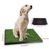 Dog Toilet Training Artificial Grass Mat - Green