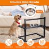 Adjustable Height Stainless Steel Elevated Double Dog Bowls for Pets