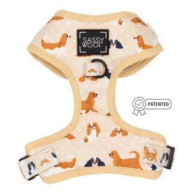 Sassy Woof Brand - Adjustable Harness - Many options! (Color: Savvy Cavs, size: Xsmall)