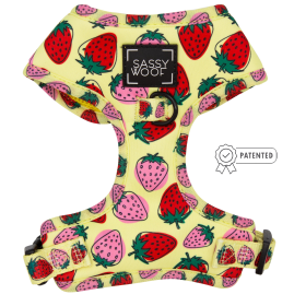 Sassy Woof Brand - Adjustable Harness - Many options! (Color: Strawberry Fields Furever, size: small)