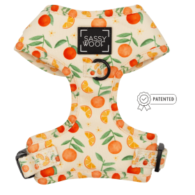 Sassy Woof Brand - Adjustable Harness - Many options! (Color: Simply the Zest, size: large)