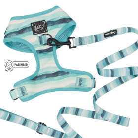 Harness & Leash "Barks & Caicos" Bundle (Color: Multi, size: medium)