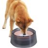 No Spill Pet Water Bowl