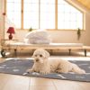 2Pcs Washable Pet Pee Pads - Reusable Potty Mats Machine Washable