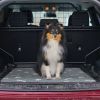 2Pcs Washable Pet Pee Pads - Reusable Potty Mats Machine Washable
