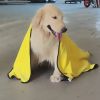 New! Speed dry soft absorbent pet bath towel