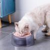 No Spill Pet Water Bowl